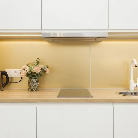 Apartment Radziwillowska Old Town *